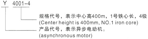 西安泰富西玛Y系列(H355-1000)高压YR5001-4三相异步电机型号说明